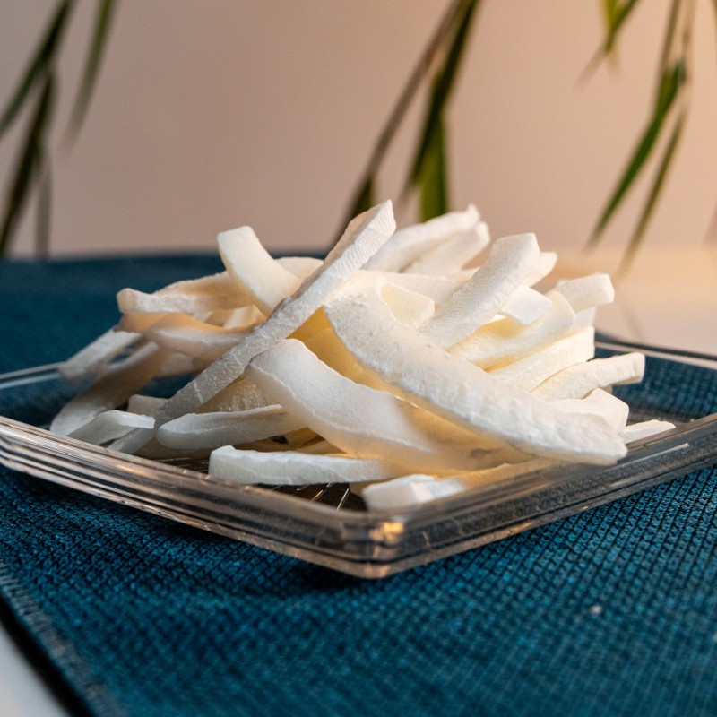 HİNDİSTAN CEVİZİ KURUSU